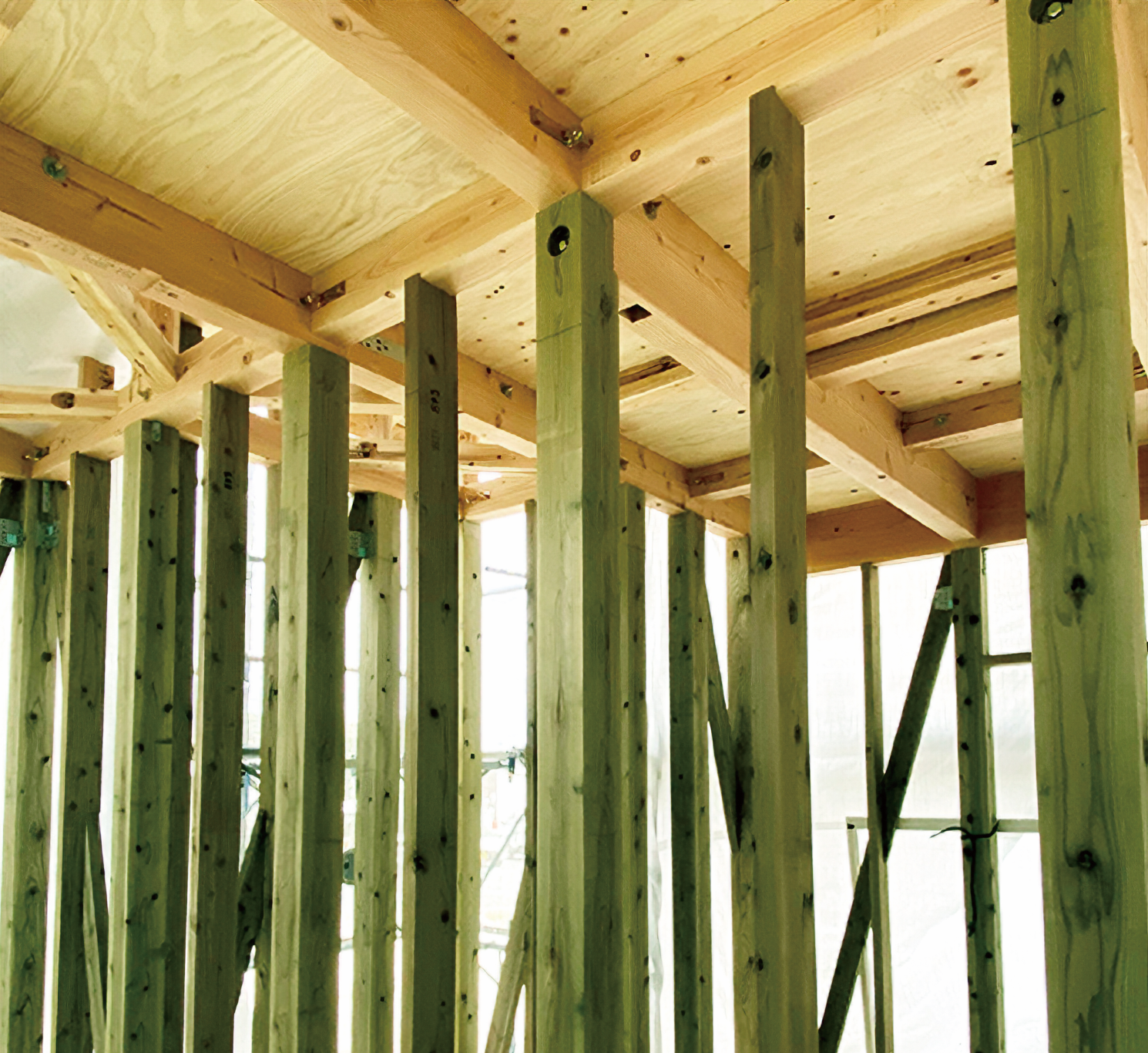 100年腐らない「緑の柱」